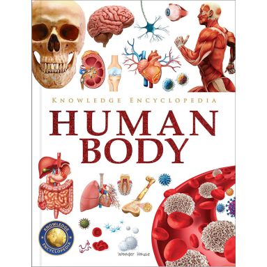 Knowledge Encyclopedia - Human Body Image